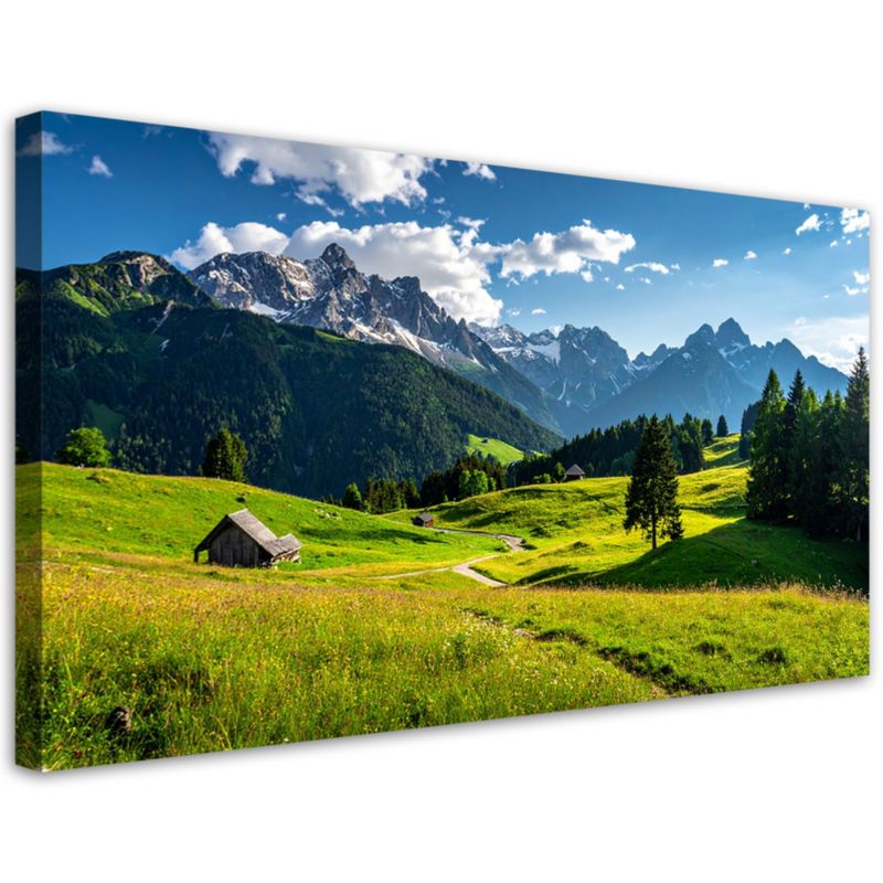 Obraz do salonu sypialni biura Feeby Krajobraz góry doliny natura 100x50cm 1szt