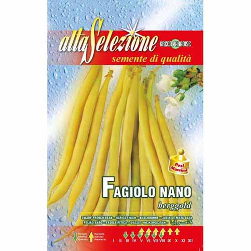 1 pac, Fasole oloagă Berggold - Semințe: Mod de ambalare: 250 g