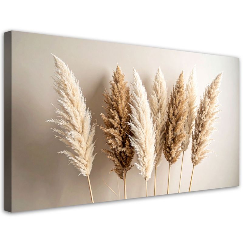 Obraz do salonu sypialni biura Feeby Suche trawy rośliny natura beżowy 100x50cm 1szt
