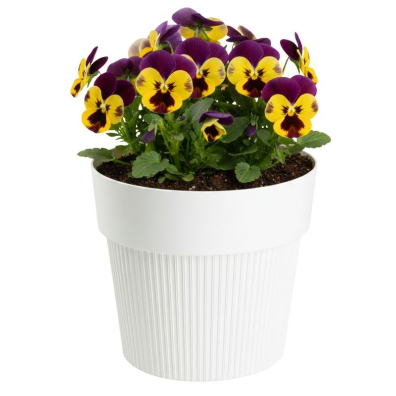 Donica plastikowa SILVA LINE HowHomely kremowa okrągła do domu 16 cm 1 szt.