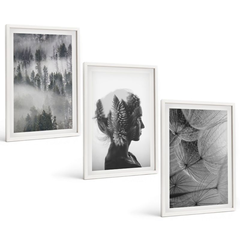 Komplet 3 Obrazów w Białej Ramie ArtPrintCave 40x60 cm Grafika Ścienna Las mgła portret drzewa dmuchawiec 1 kpl.