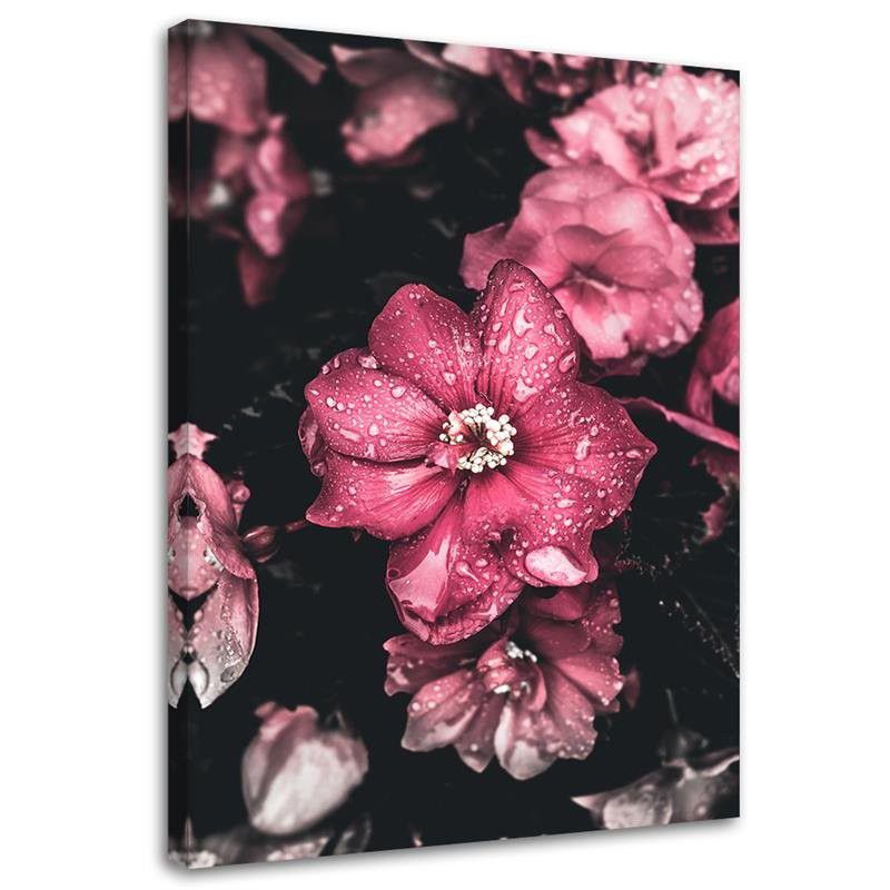 Obraz na płótnie Feeby Różowe kwiaty na ciemnym tle 40x60cm 1szt