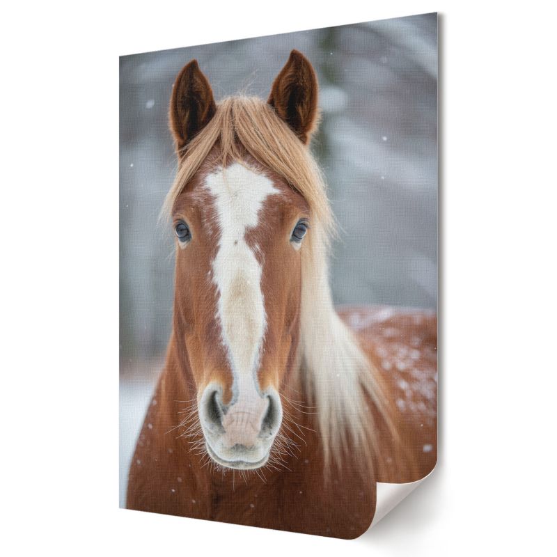 Plakat na ścianę Wallfluent Format A3 Koń zimą Artysta Omega 1 szt.
