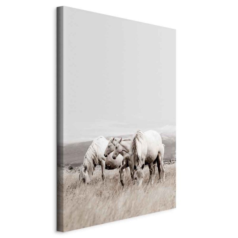 Obraz Artgeist Białe konie 20 x 30 cm płótno włoskie 1 szt