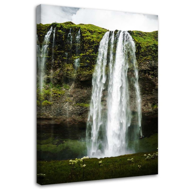 Obraz Feeby Wodospad góry natura pejzaż 80x120cm 1szt