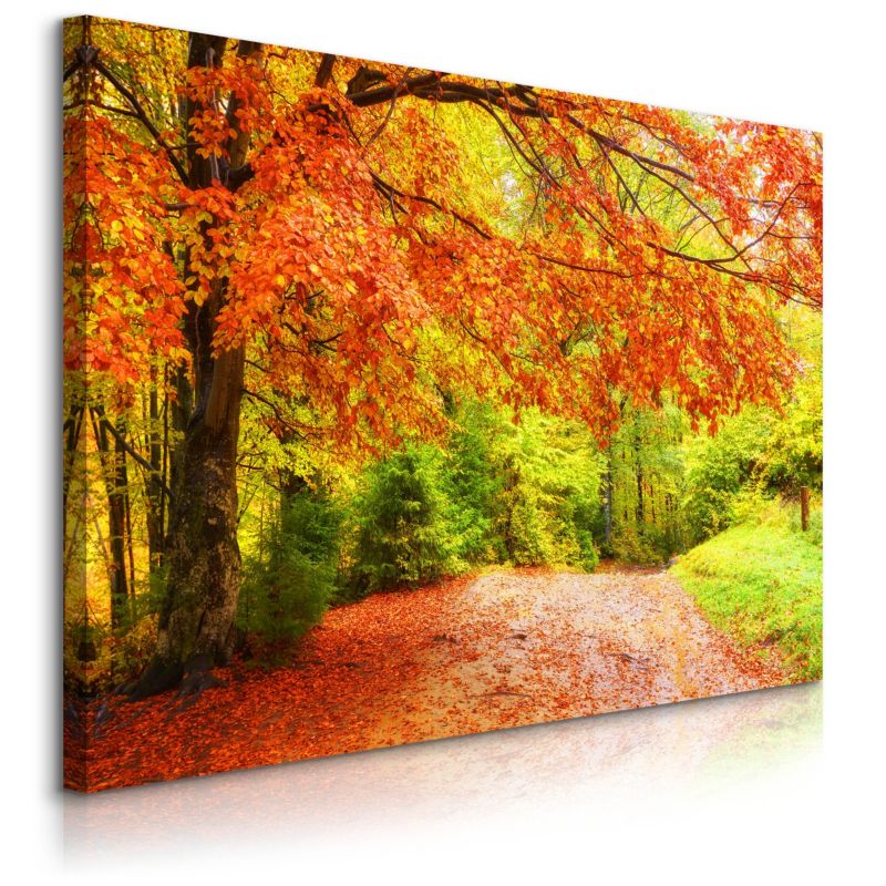 Obraz Muralo Na Płótnie Jesienny Las Natura 40x30 cm 1 szt.