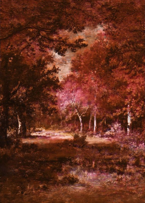 fototapeta Sanders & Sanders jesień brązowymIciepłego pomarańczu 200 x 280 cm - 1 rol.