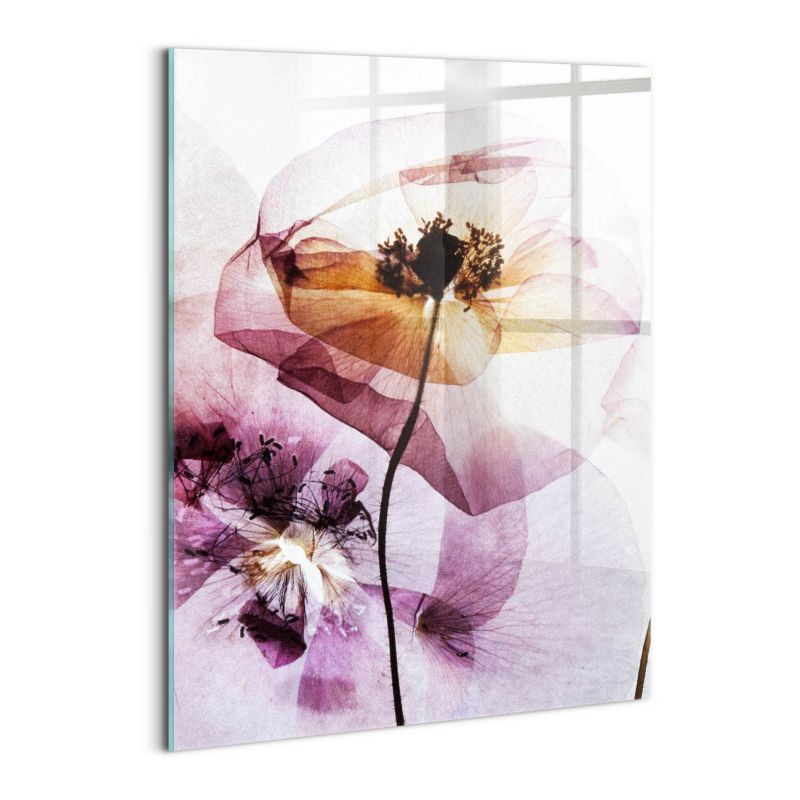 Foto Obraz Ścienny Szklany Wallfluent 60x80 cm Suche kwiaty maki 1 szt.