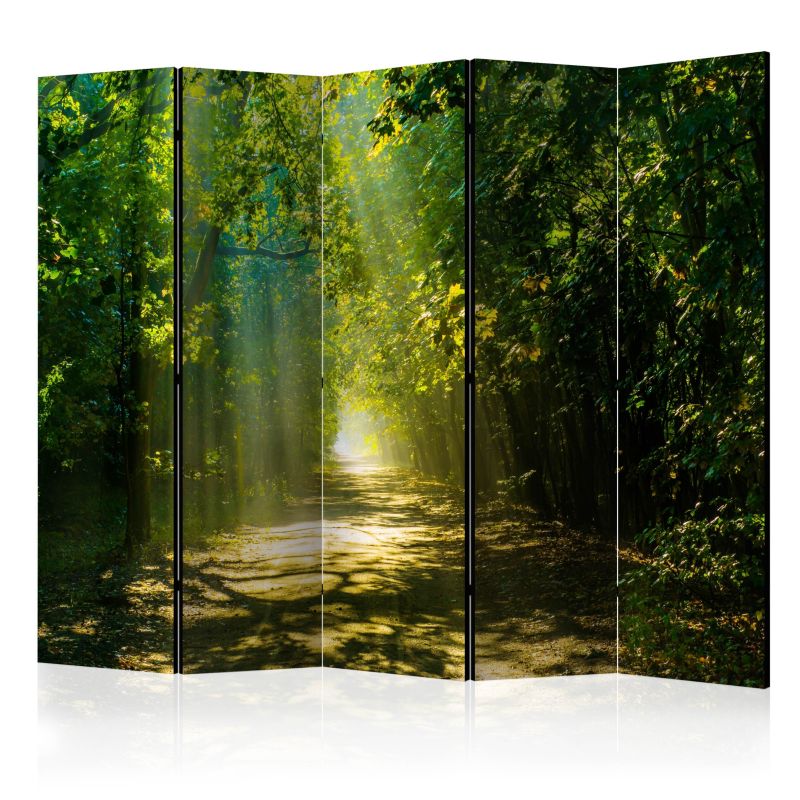 Parawan dwustronny Artgeist Pejzaże 225x172 cm Pejzaże 1 szt