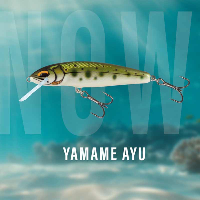Salmo Wobler Minnow 5cm Pływający Yamame AYU