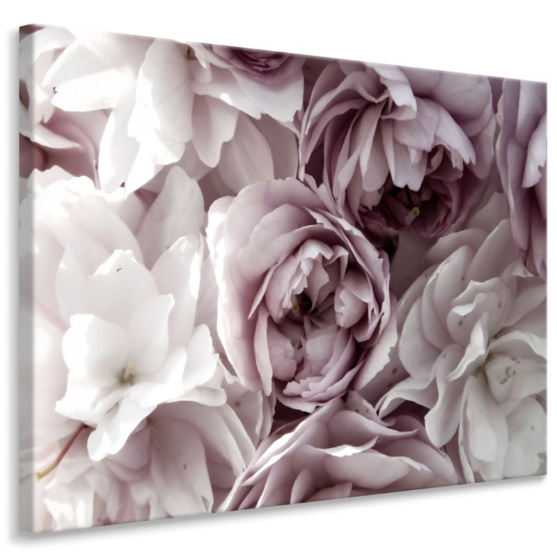 Obraz Muralo Pastelowe Kwiaty Peonie Piwonie Natura 70x50 cm 1 szt.