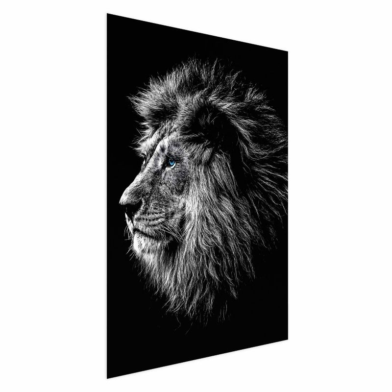 Plakat Artgeist Niebieskooki lew 21x30 cm bez ramy 1 szt