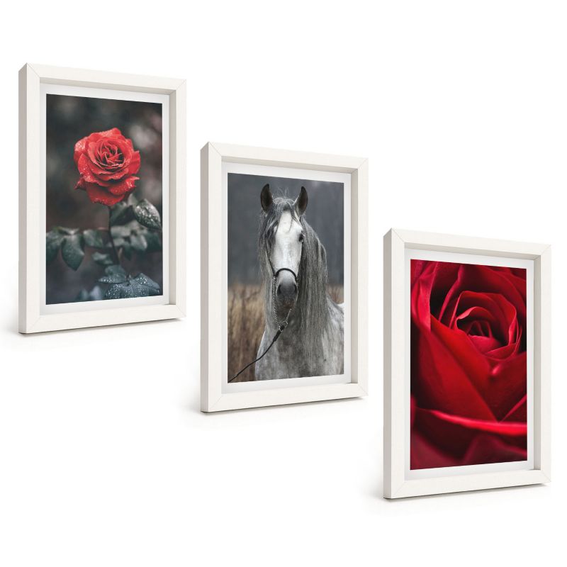 Zestaw Obrazów 3 Częściowy ArtPrintCave Białe Ramki 20x30 cm Dekoracja do Sypialni Czerwone róże koń szary świat 1 kpl.