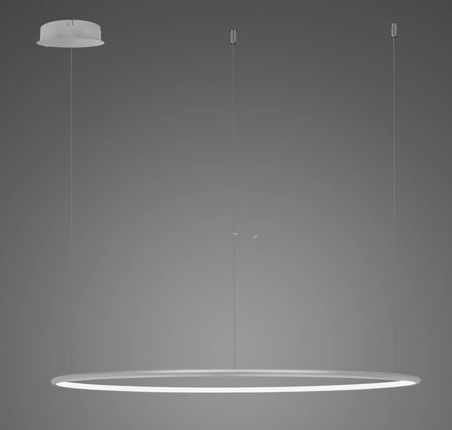 Altavola Design Led Shape lampa wisząca 1x57 W srebrna LA073/CO_150_in_3k_silver_dimm