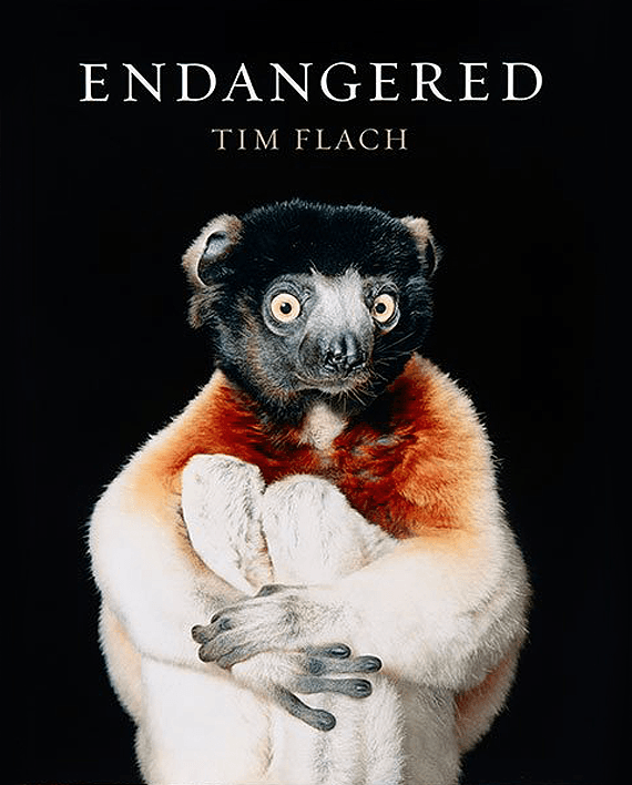 Tim Flach. Endangered