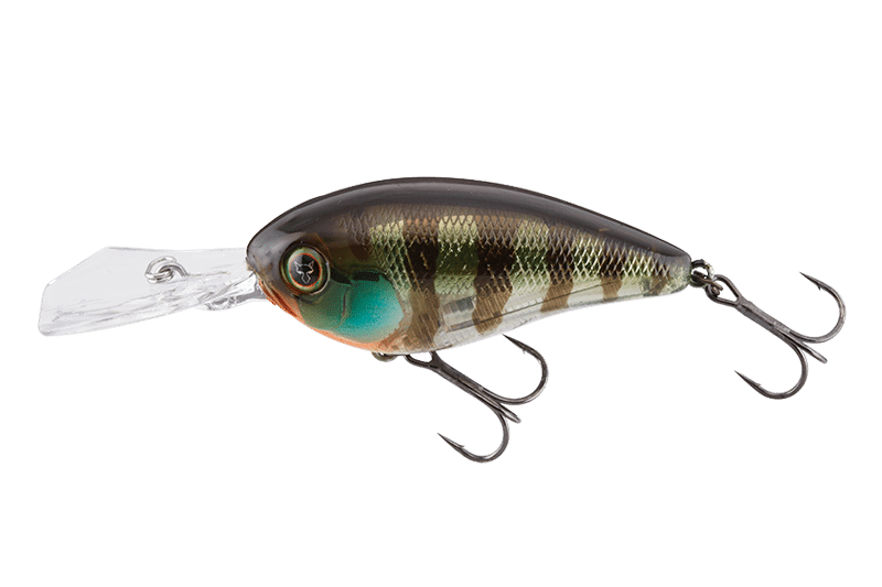 Jackall Wobler DIGLE 3+ System Crankbait Jakko Gill
