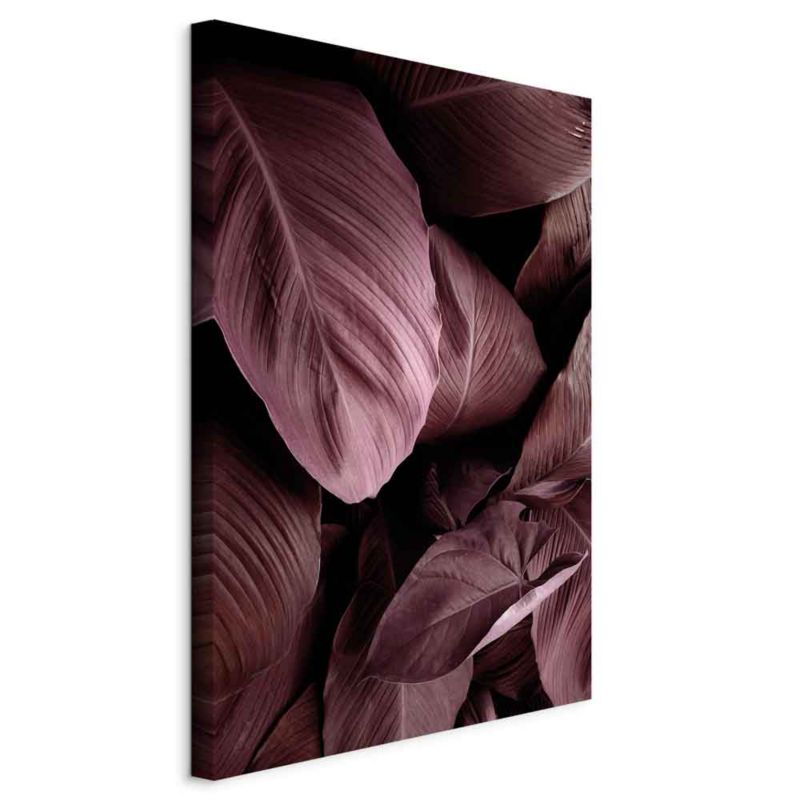 Obraz Artgeist Aksamitne liście 40 x 60 cm płótno włoskie 1 szt