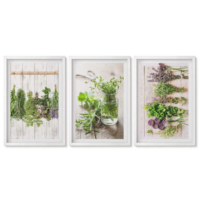 Obrazy w białej ramie Tulup 40x60 cm Zioła rośliny do kuchni Tryptyk 1 kpl