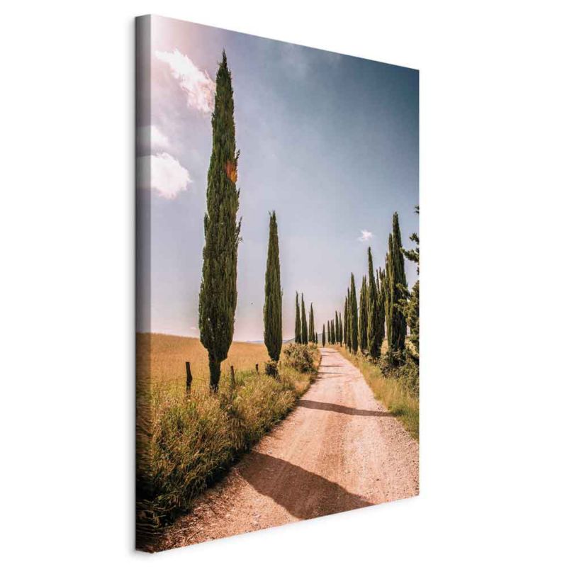 Obraz Artgeist Włoskie cypry 60 x 90 cm flizelina 1 szt