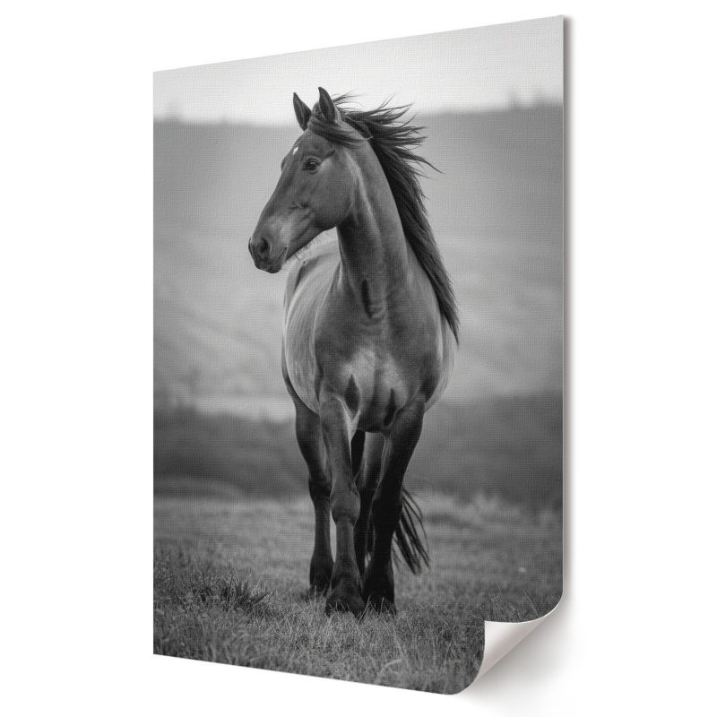 Plakat na ścianę Wallfluent Format A1 Dostojny koń Artysta Nyra 1 szt.