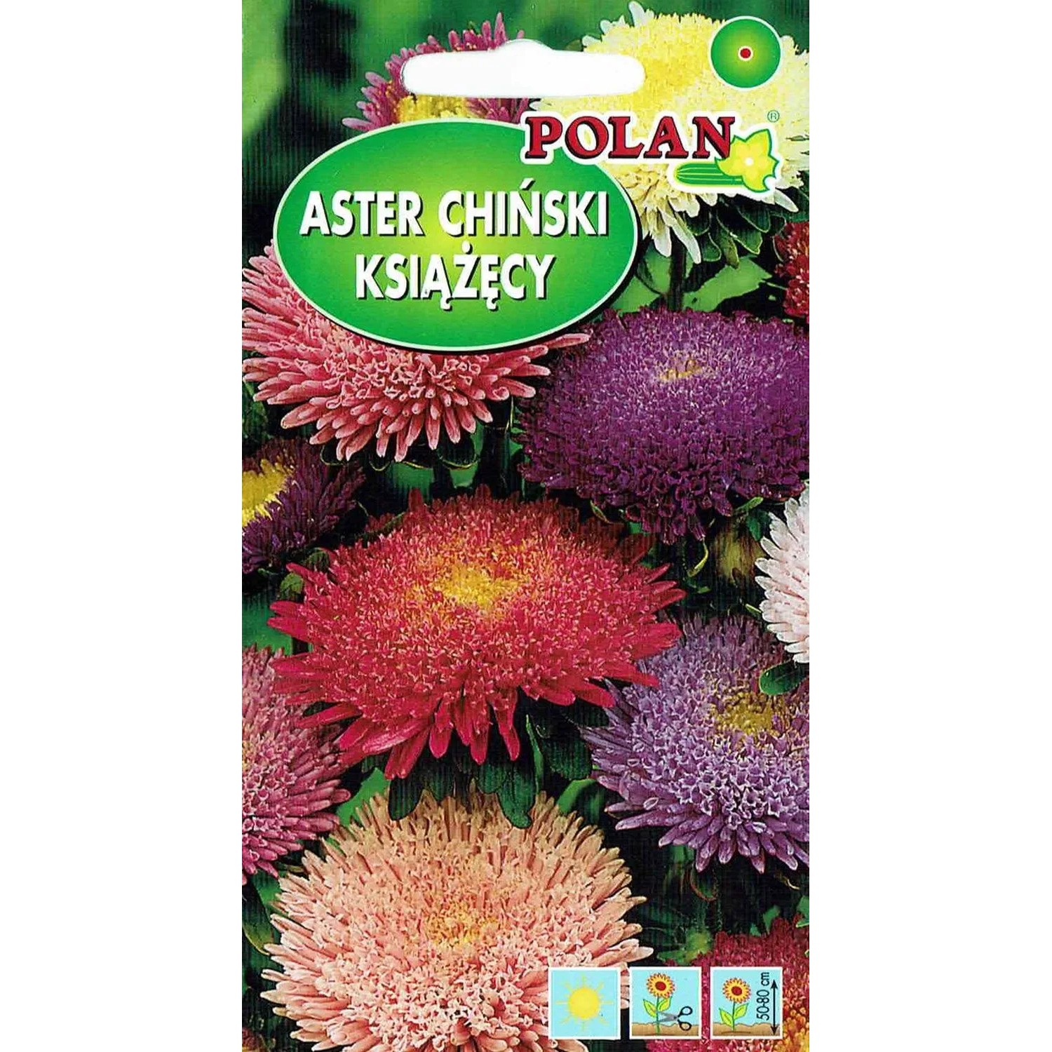 Aster chiński książęcy 1 g
