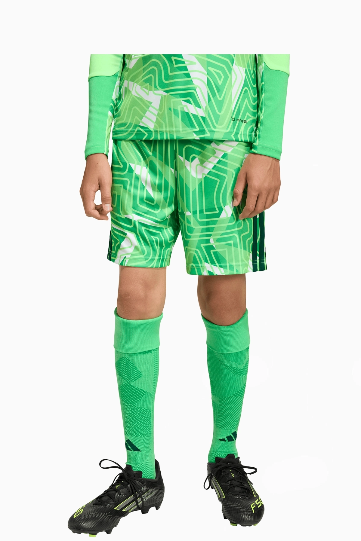 Spodenki bramkarskie adidas Dozamet Nowa Sól Junior - Zielony