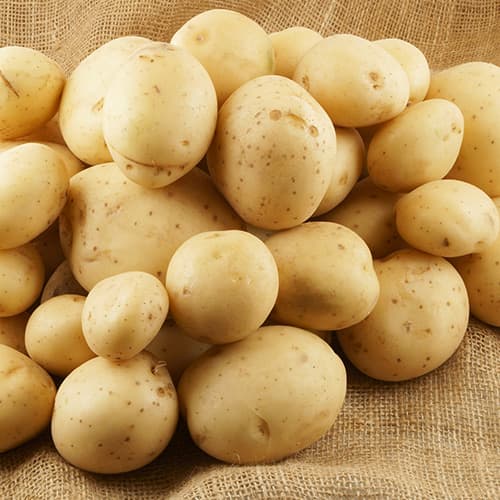 1 kg, Vetőburgonya Sylvana - Gumók: Mod de ambalare: 1 kg
