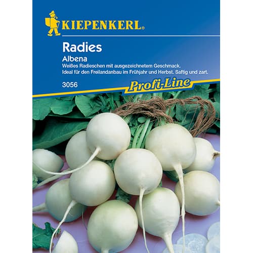 1 szt, Retek Albena - Magok: Mod de ambalare: 1 db