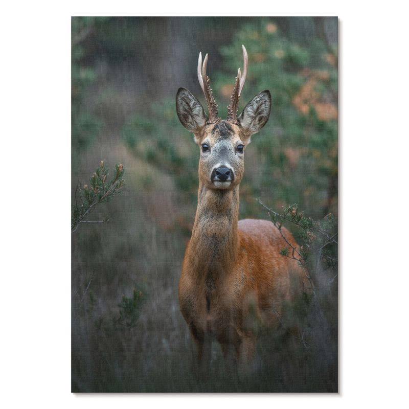 Plakat na Ścianę Tulup 42x59,4 cm (A2) Jeleń w lesie Do salonu, sypialni, biura 1 szt.