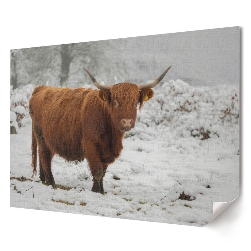 Plakat canvas Wallfluent Format A2 Zimowa scena Artysta SoliN 1 szt.