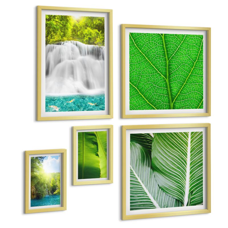 Zestaw Obrazów 5 Częściowy ArtPrintCave (2x50x50+2x20x30+40x60cm) Złota rama Zbliżenia liście tropikalne 1 kpl.