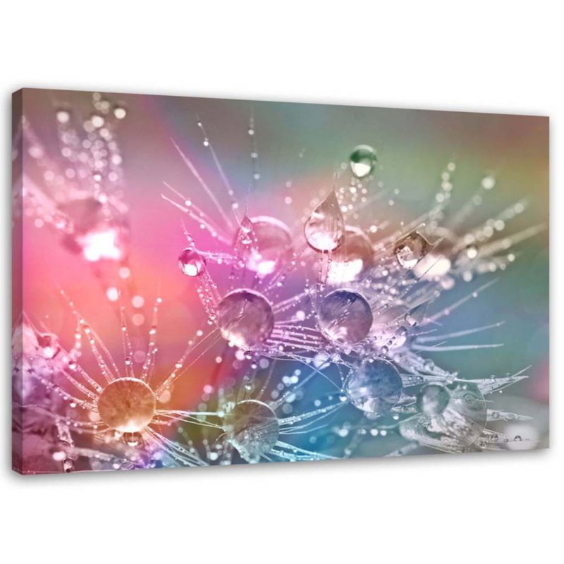 Obraz na płótnie Feeby Krople wody na dmuchawcu 90x60cm 1szt