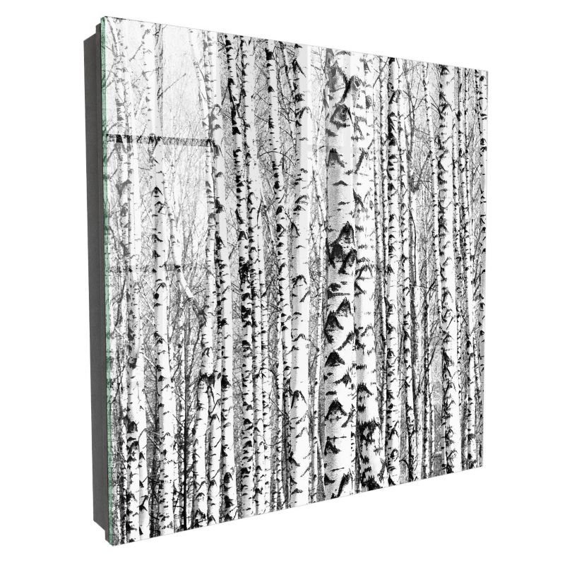 Skrzynka Na Klucze Szkło Hartowane Tulup 30x30 cm Brzozy las - Czarna - Otwierana na prawo 1 szt.