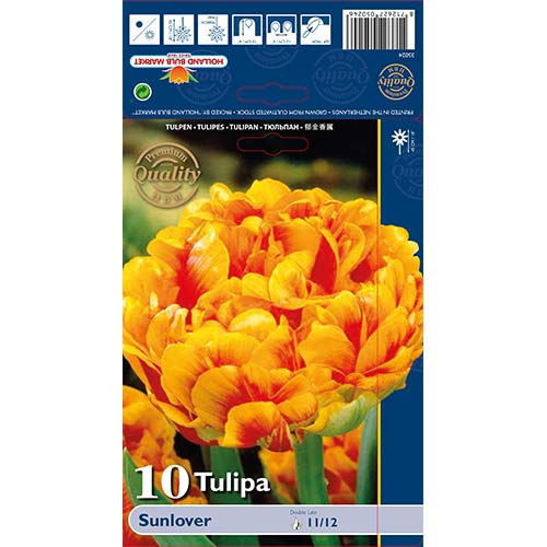 Tulipan pełny Sunlover - Cebule: Ilość w opakowaniu: 10 szt. - GradinaMax