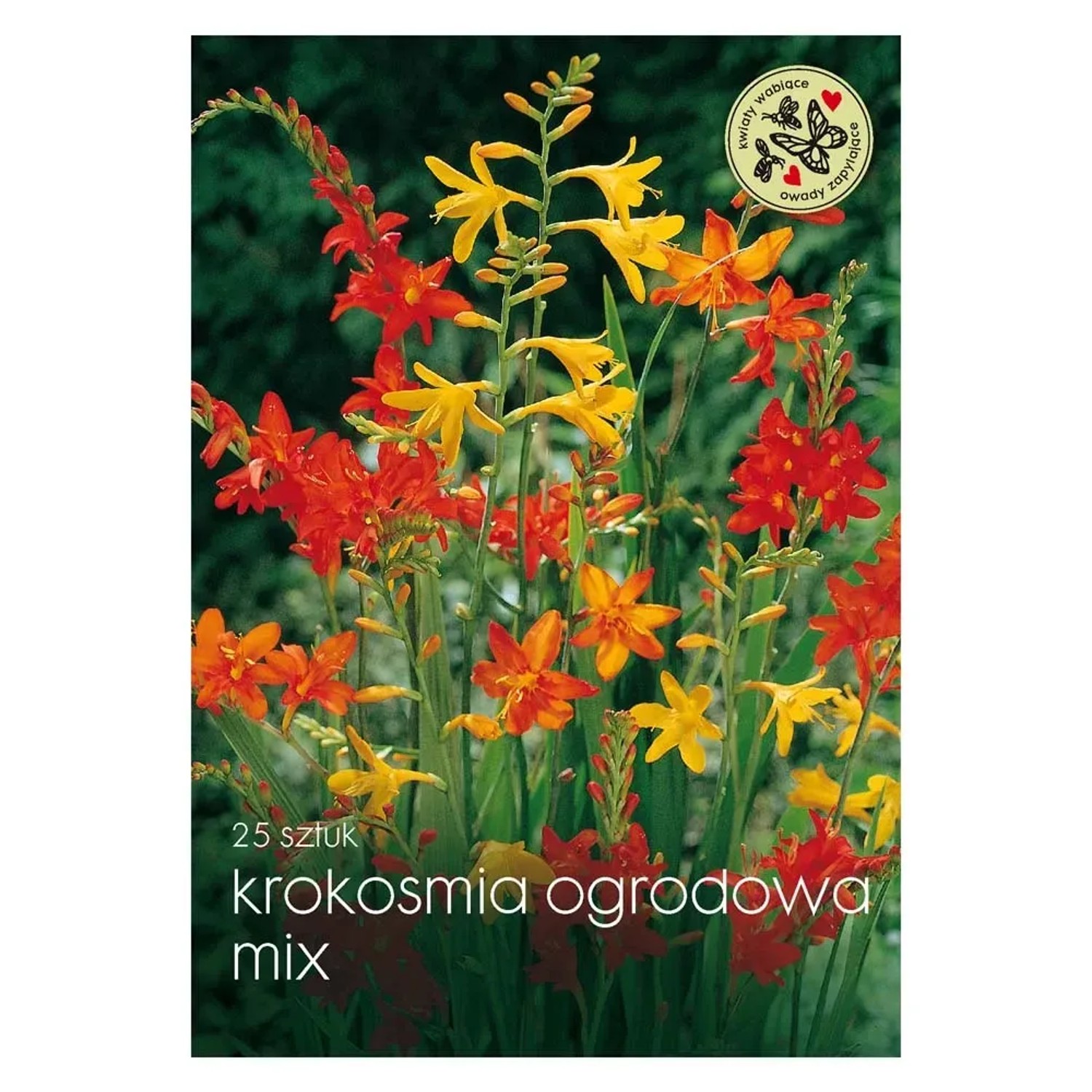 Krokosmia Ogrodowa mix
