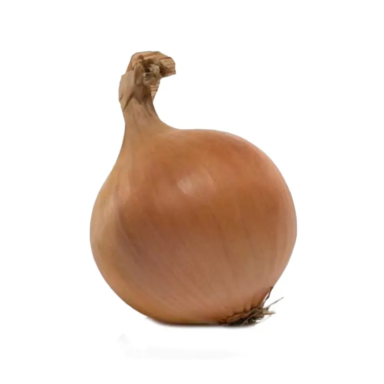 Cebula dymka Centurion 14-21 250g