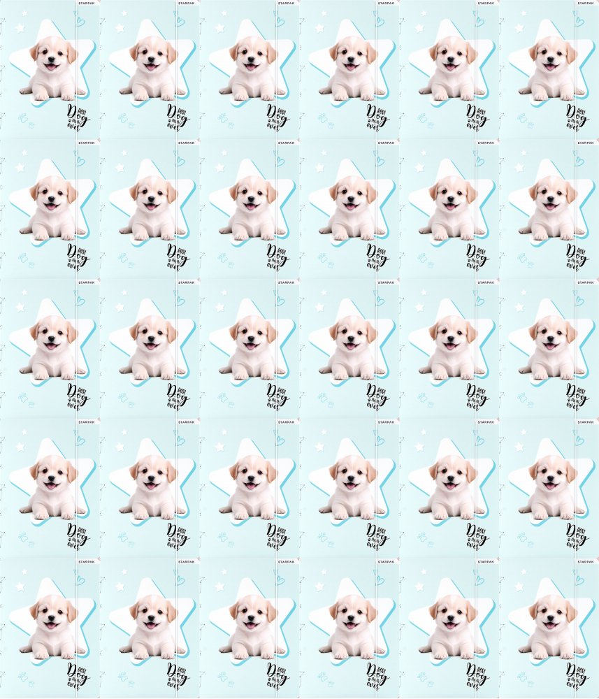 30x Teczka z gumką Starpak Doggy, A4, mix wzorów