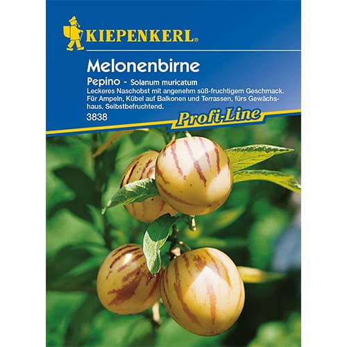 1 szt, Pepino (Tojásdinnye) - Magok: Mod de ambalare: 1 db