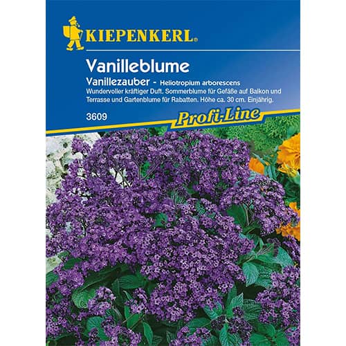 1 szt, Vanilleblume Vanillezauber - Samen: Ilość w opakowaniu: 1 Stück