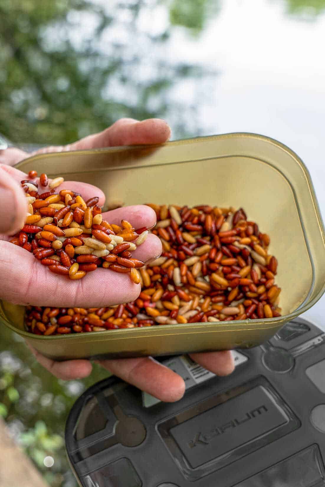 Korum Pudełko Bait Tub - 0.6L