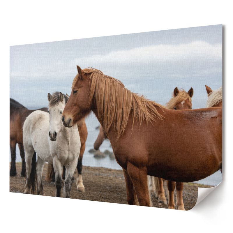 Plakat Wallfluent Format A2 Konie w krajobrazie Artysta Ivara 1 szt.