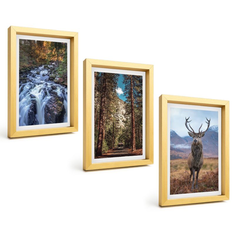 Zestaw 3 Obrazów w Złotej Ramie ArtPrintCave 20x30 cm Galeria Ścienna Wodospad las góry jeleń natura 1 kpl.