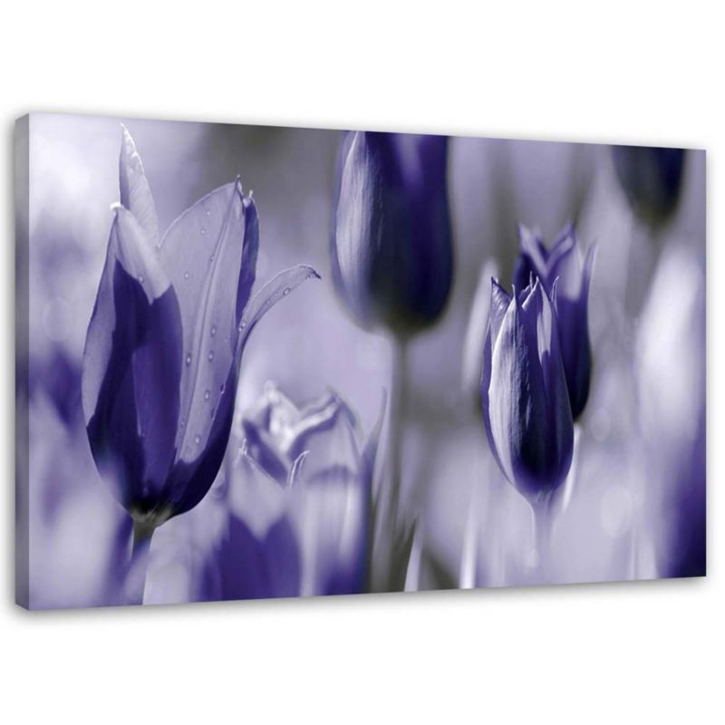 Obraz na płótnie Feeby Fioletowe tulipany na łące 90x60cm 1szt