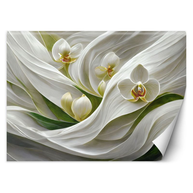 Fototapeta Feeby Obraz Storczyki abstrakcyjne 3D 350x245 1 szt