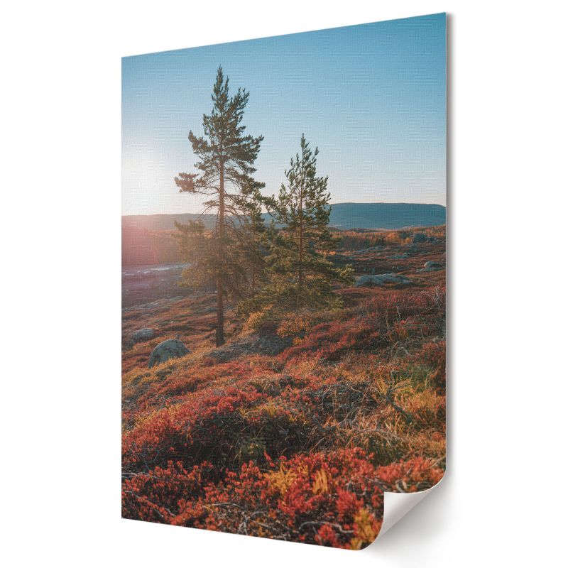 Plakat na płótnie Wallfluent Format A1 Jesienna harmonia Artysta digitalPhoto 1 szt.
