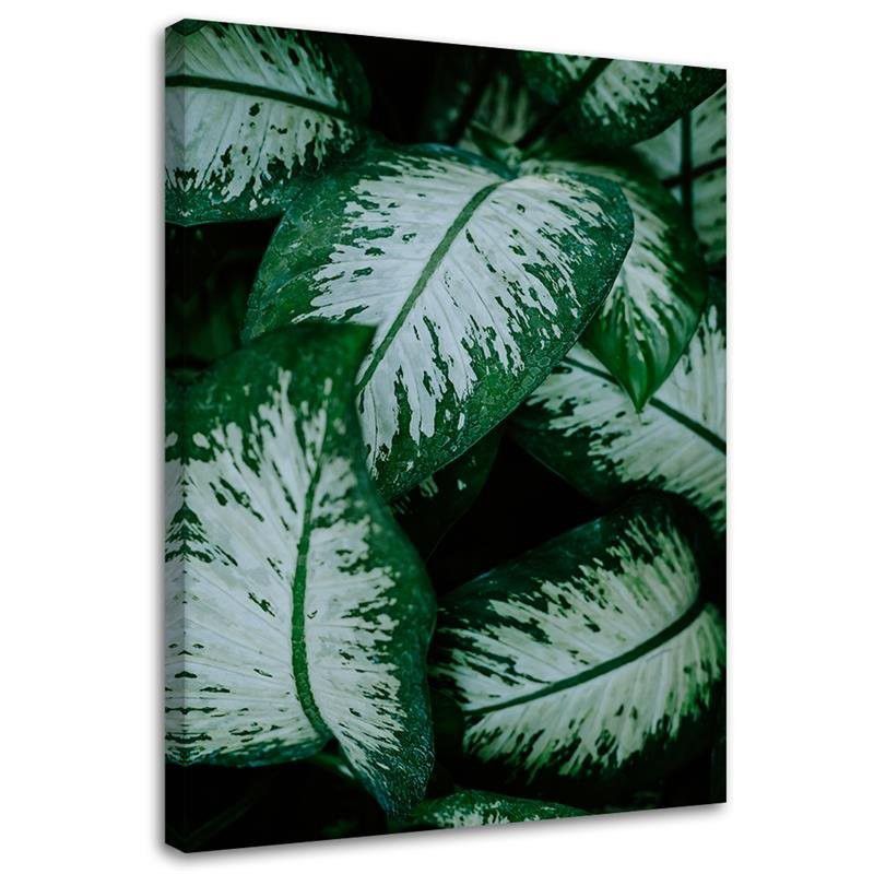 Obraz na płótnie Feeby Tropikalne liście natura 20x30cm 1szt