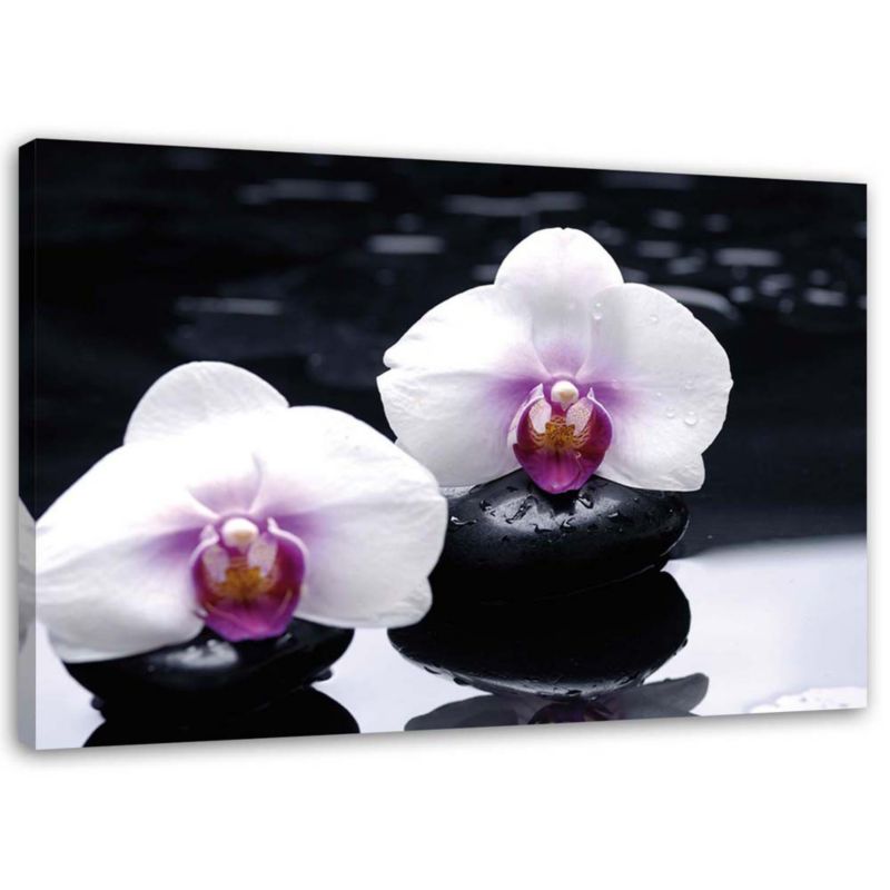 Obraz na płótnie Feeby Orchidea w stylu zen 90x60cm 1szt