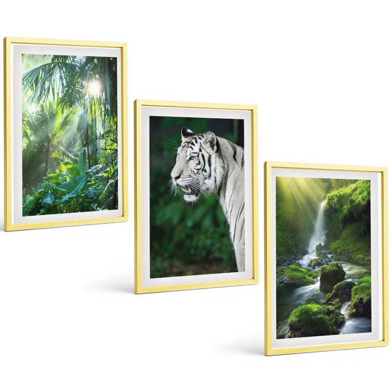 Galeria 3 Obrazów w Złotej Ramie ArtPrintCave 40x60 cm Komplet ścienny Dżungla tygrys wodospad 1 kpl.