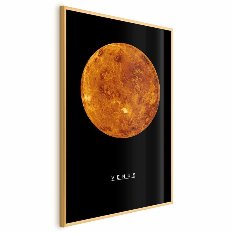 Plakat Artgeist Wenus 60x90 cm z ramą złotą bez marginesu 1 szt