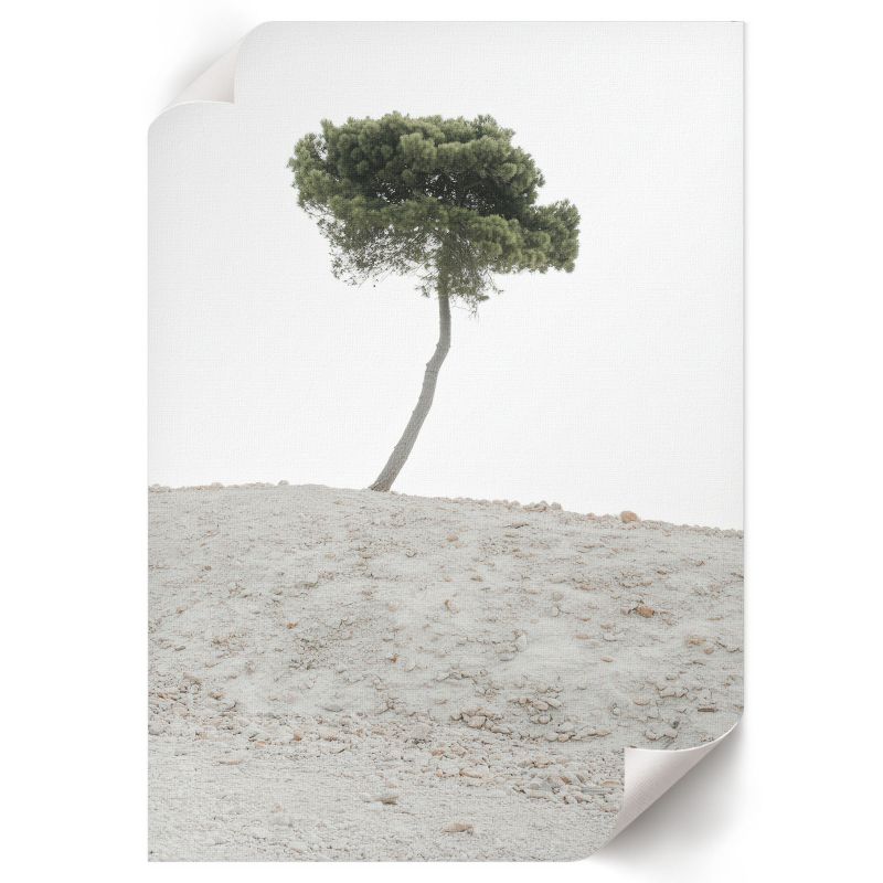 Plakat Dekoracyjny ArtPrintCave 29,7x42 cm Samotne drzewo X-Mario 1 szt.